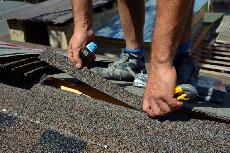 Asphalt Shingle Repair Expert